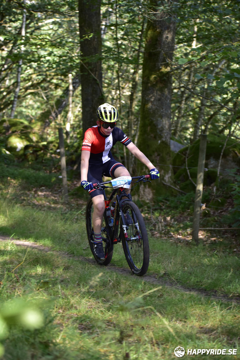 Bild från Bockstensturen 2019